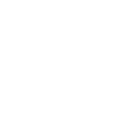 Australian Orthopaedic Association